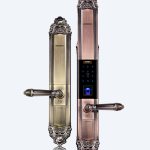 Khóa cửa thông minh KAADAS 6002