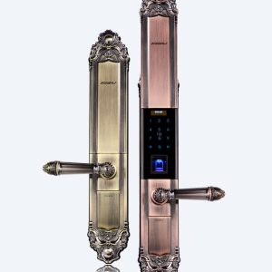 Khóa cửa thông minh KAADAS 6002