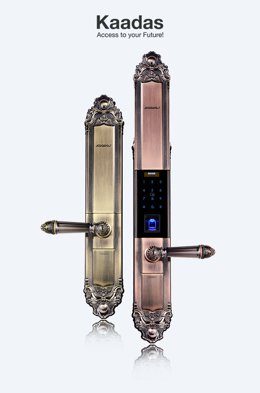 Khóa cửa thông minh KAADAS 6002